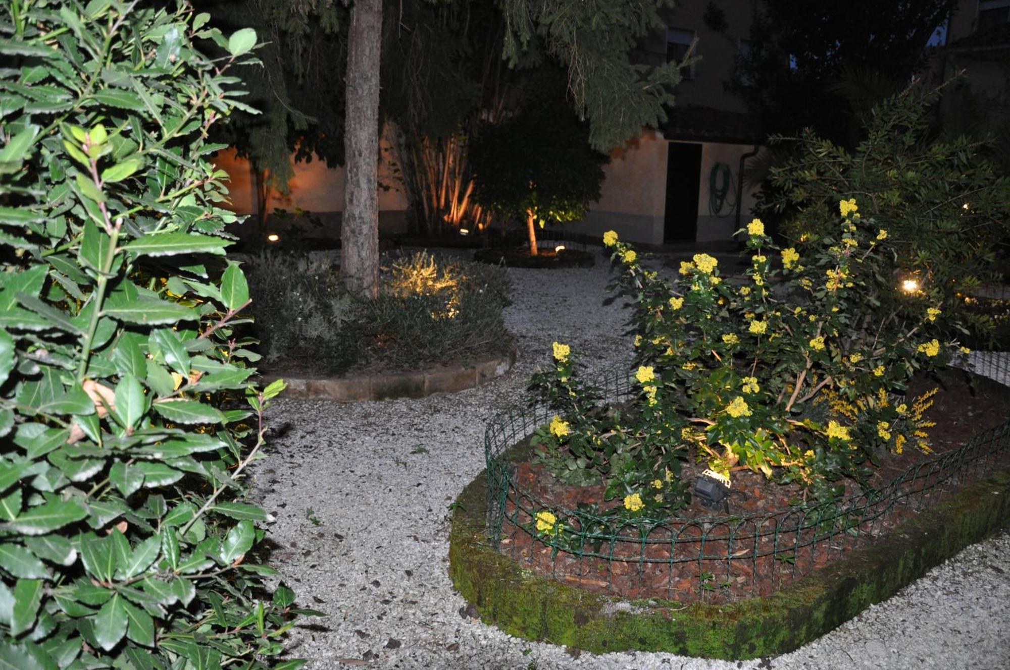 Il Mattino Ha L'Oro In Bocca Bed & Breakfast ปิซา ภายนอก รูปภาพ